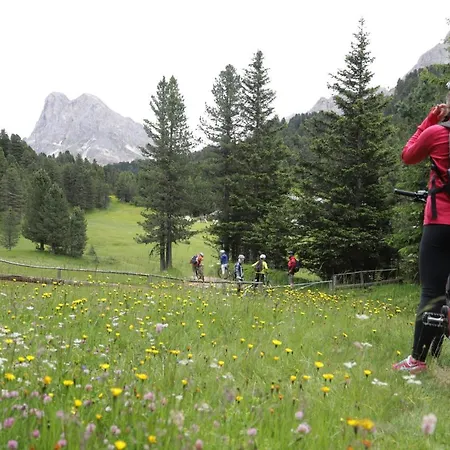 Alpenrose Brixen